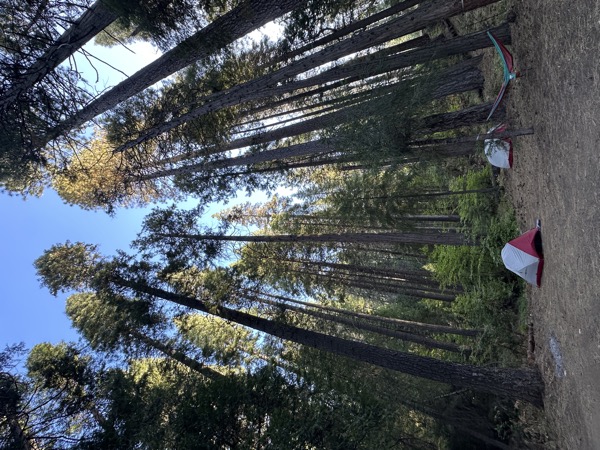 Pi-Pi Valley, Eldorado National Forest, California