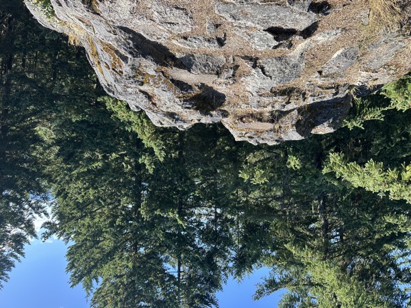 Near Oakridge, Willamette National Forest, Oregon