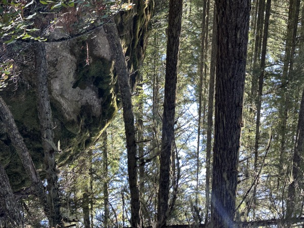Near Oakridge, Willamette National Forest, Oregon