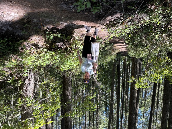 Near Oakridge, Willamette National Forest, Oregon