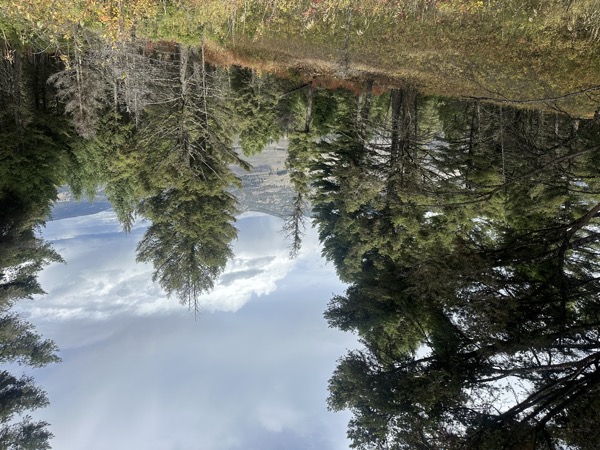 Near Tower Junction, Yellowstone National Park
