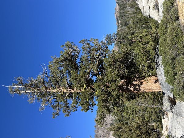 Silver Lake, near Kirkwood, California